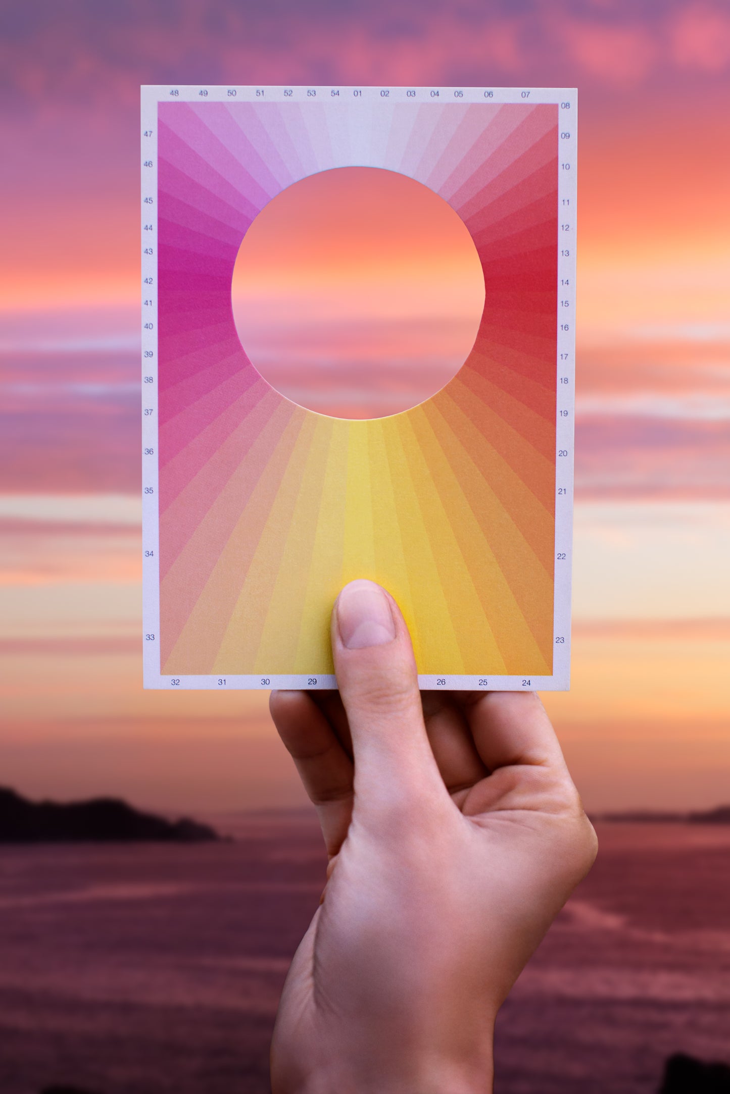 Poetic Postcard Project - Macarena Ruiz-Tagle