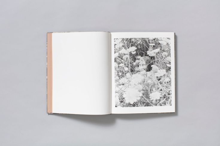 Dylan Hausthor: What the Rain Might Bring