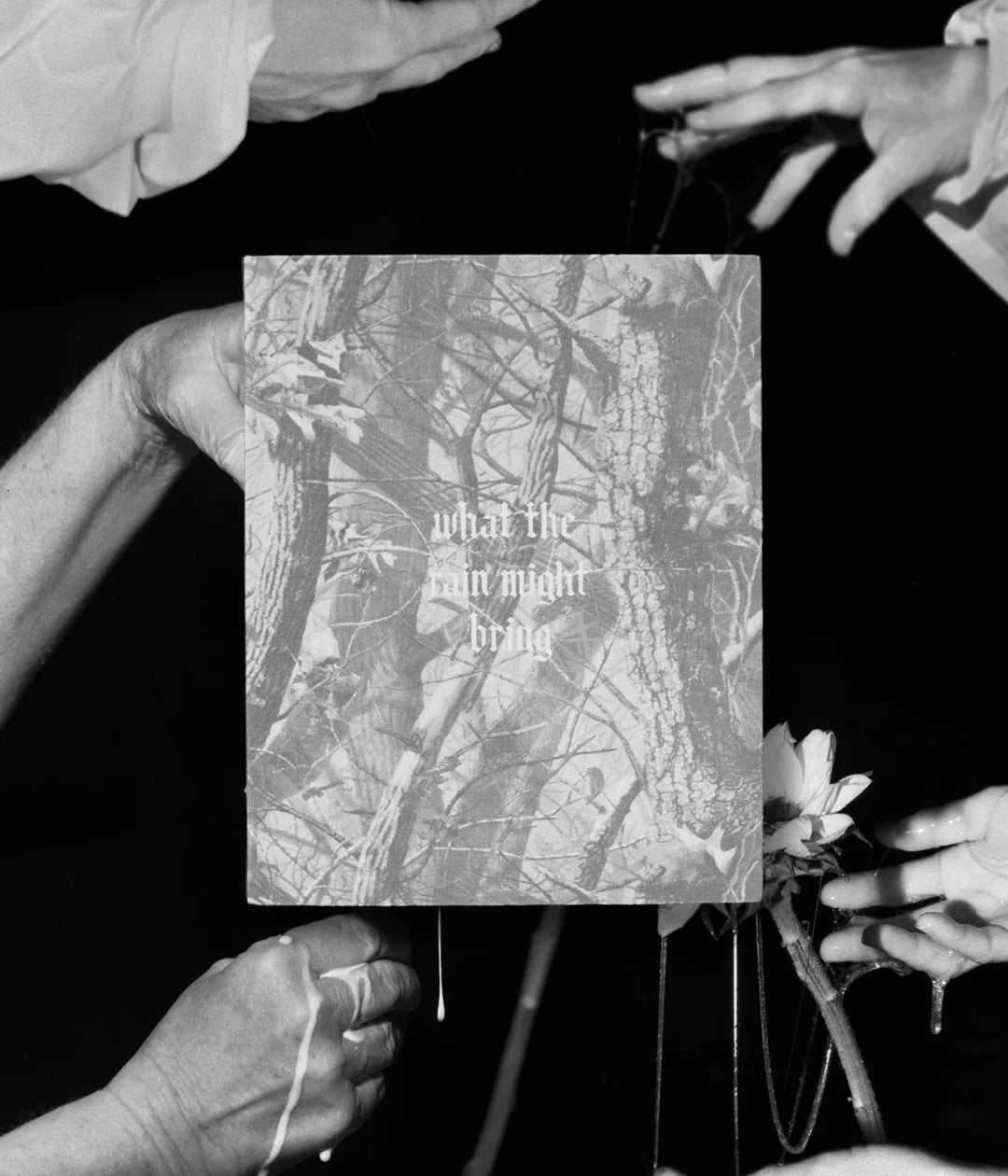 Dylan Hausthor: What the Rain Might Bring