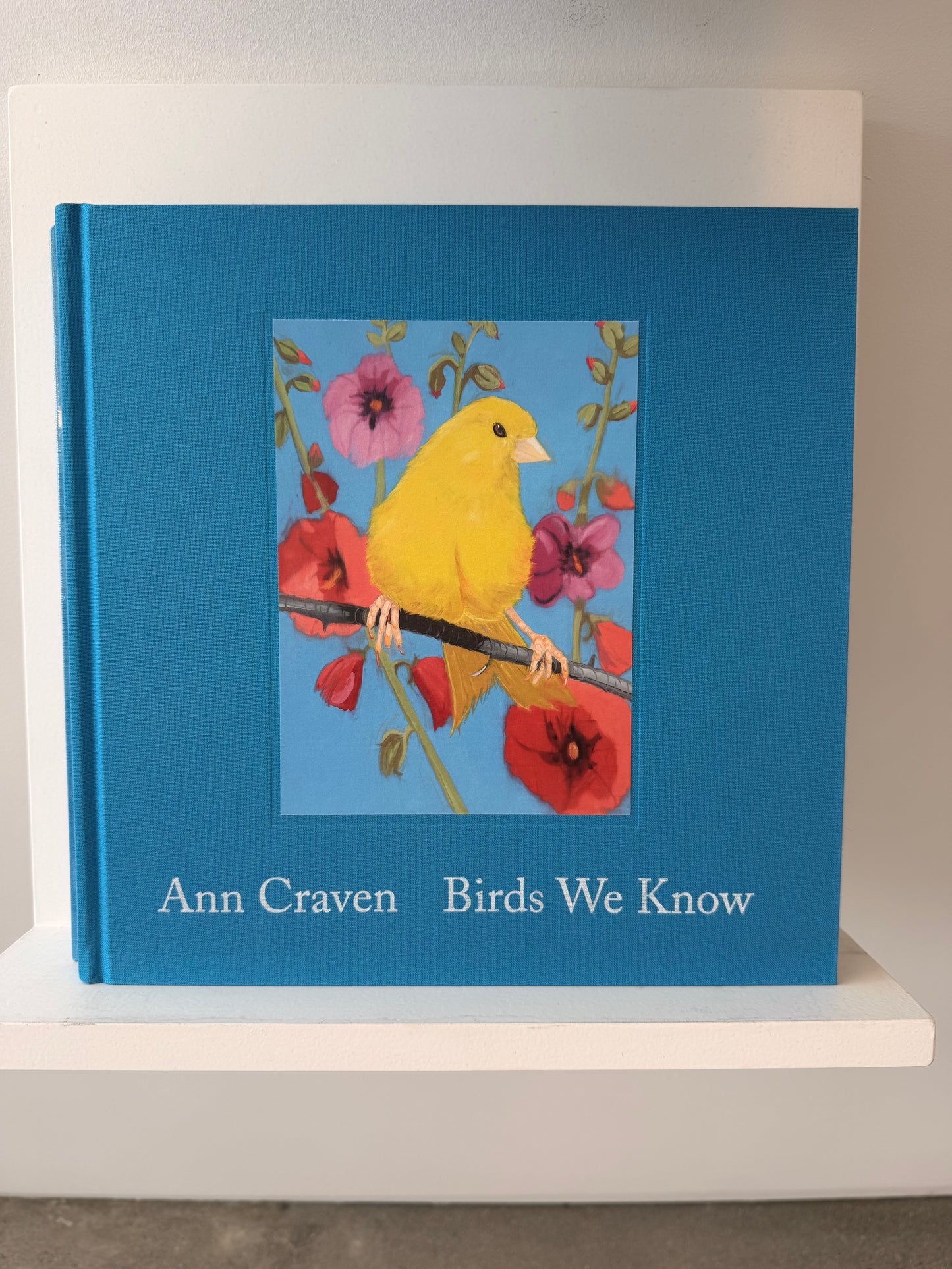 Ann Craven: Birds we know