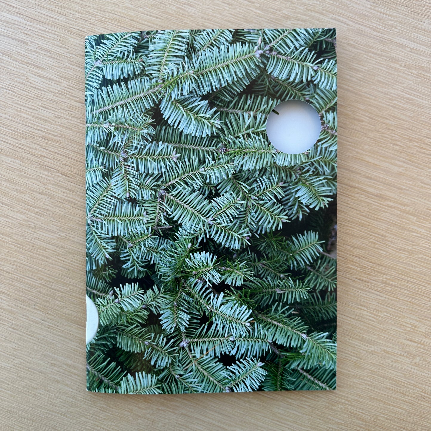 Letha Wilson - Smoke Follows Beauty (Fall 2024 Exhibition Catalog)