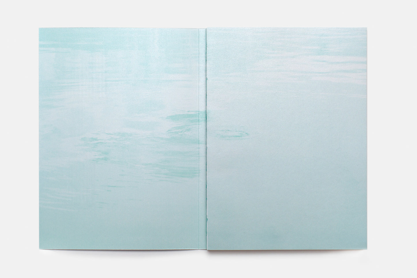 Breathe in Water: Sue Michlovitz