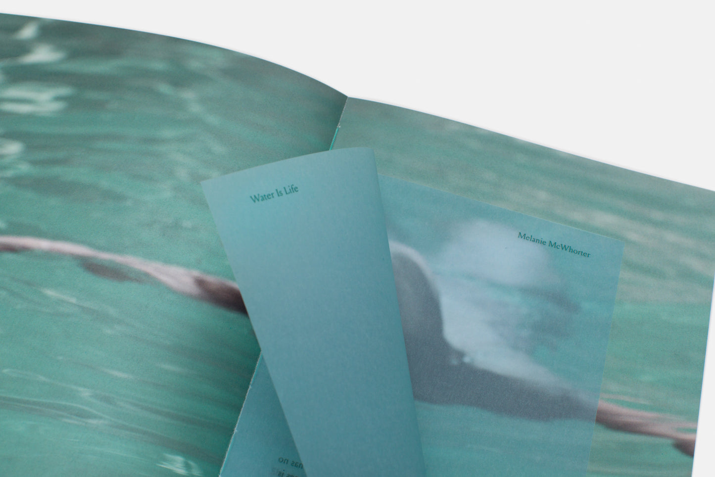 Breathe in Water: Sue Michlovitz