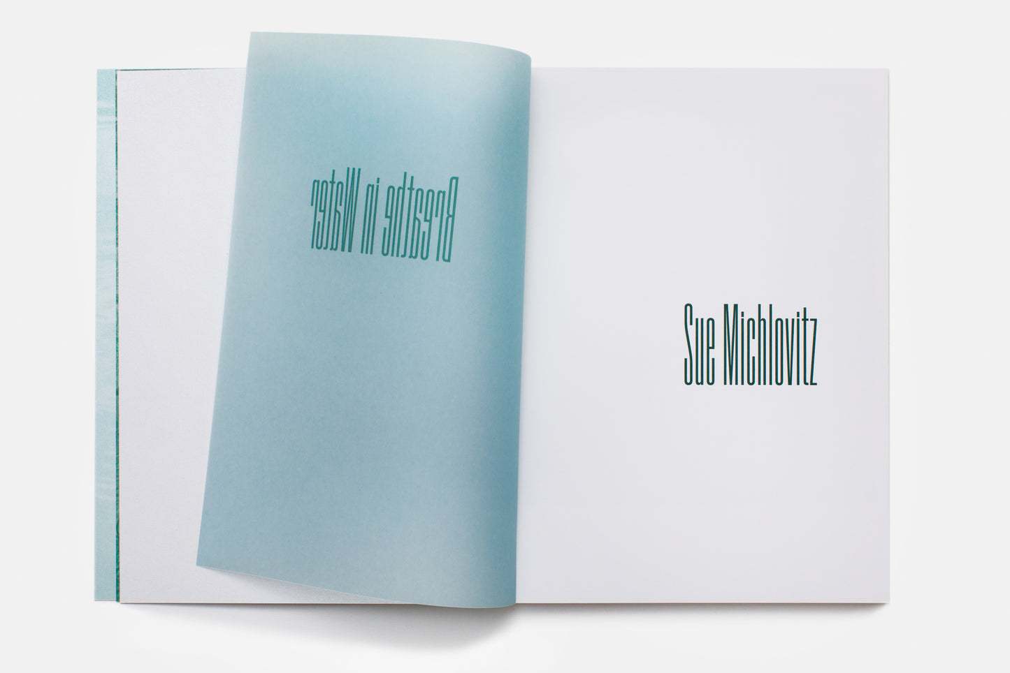 Breathe in Water: Sue Michlovitz
