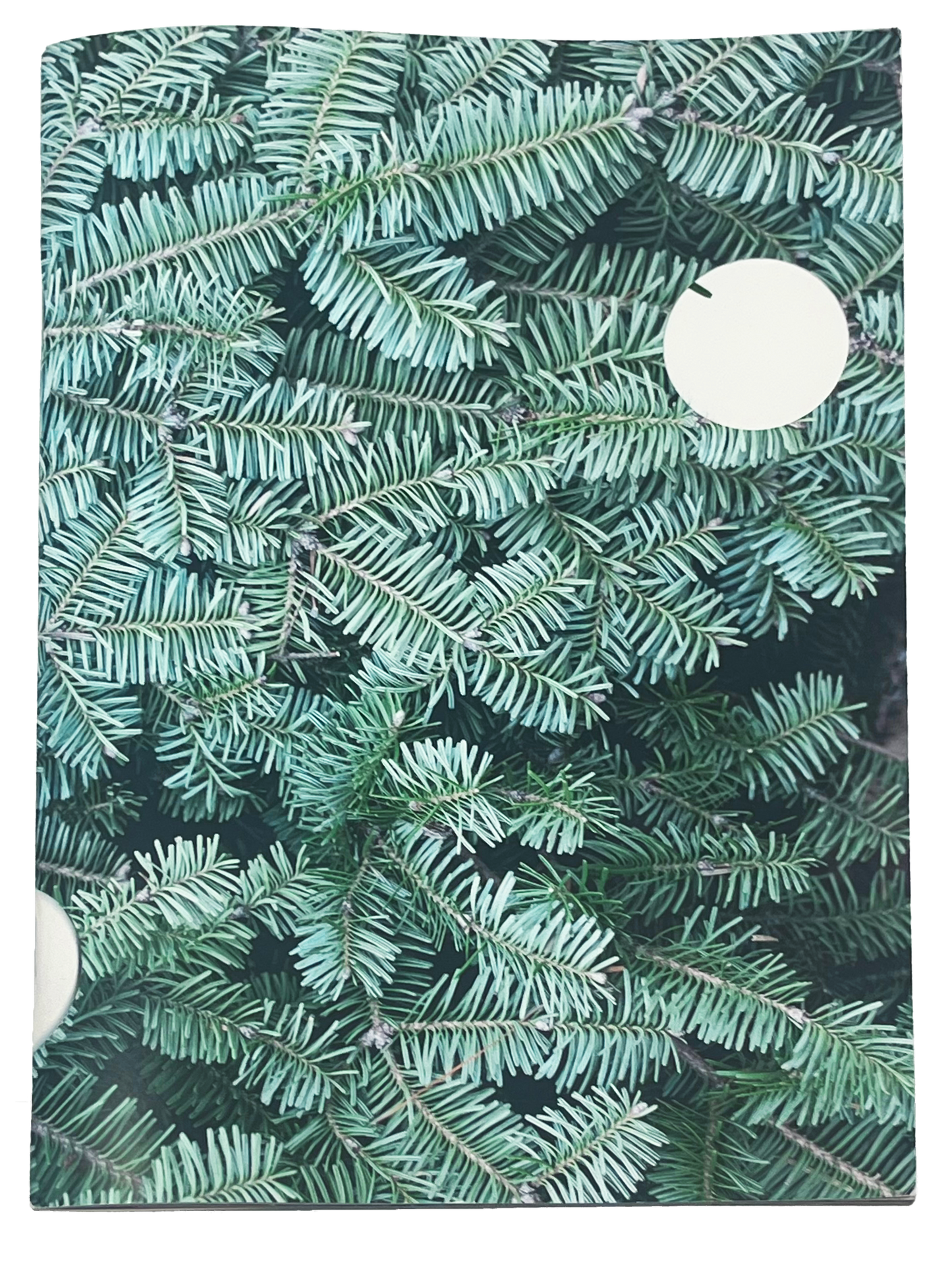 Letha Wilson - Smoke Follows Beauty (Fall 2024 Exhibition Catalog)