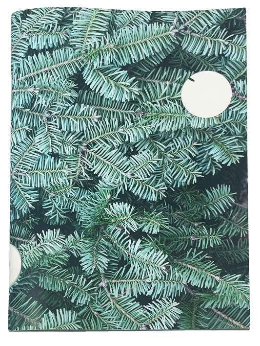 Letha Wilson - Smoke Follows Beauty (Fall 2024 Exhibition Catalog)