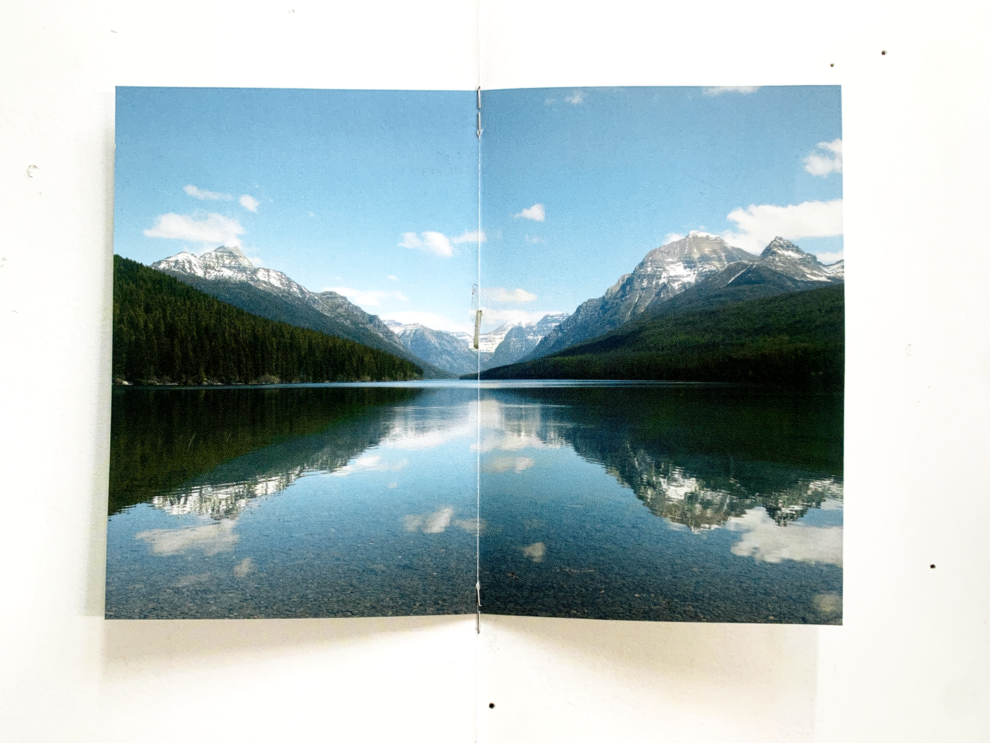 Letha Wilson - Smoke Follows Beauty (Fall 2024 Exhibition Catalog)