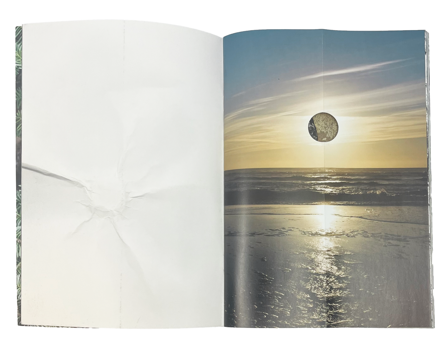 Letha Wilson - Smoke Follows Beauty (Fall 2024 Exhibition Catalog)