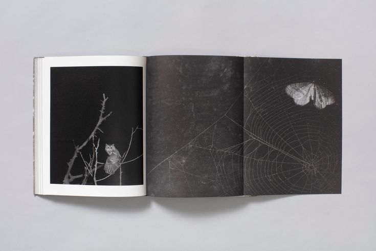 Dylan Hausthor: What the Rain Might Bring