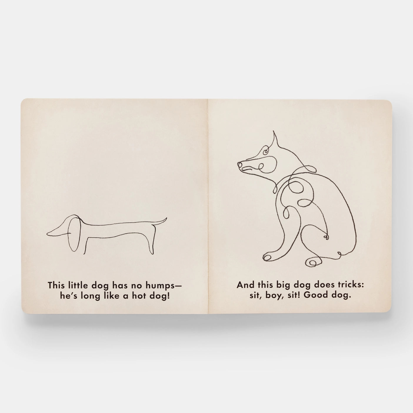 Birds & Other Animals: with Pablo Picasso