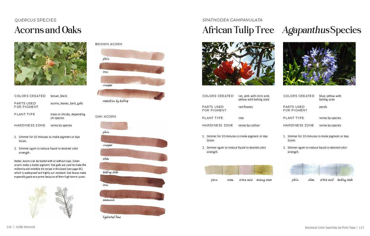 1000 Botanical Colors