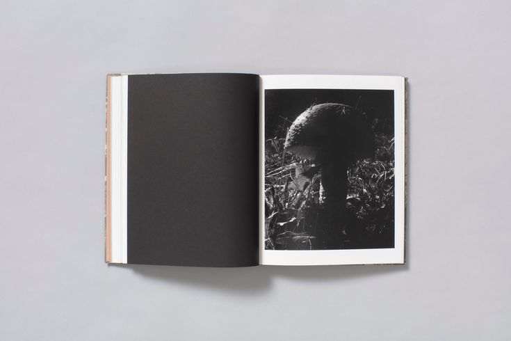 Dylan Hausthor: What the Rain Might Bring