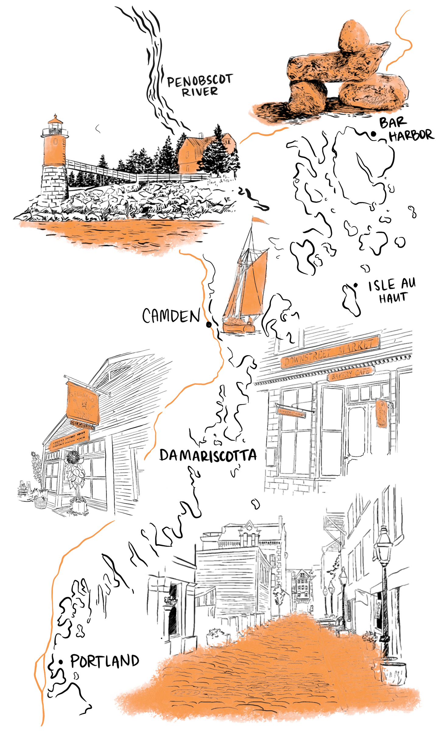 Maine Coast Field Guide