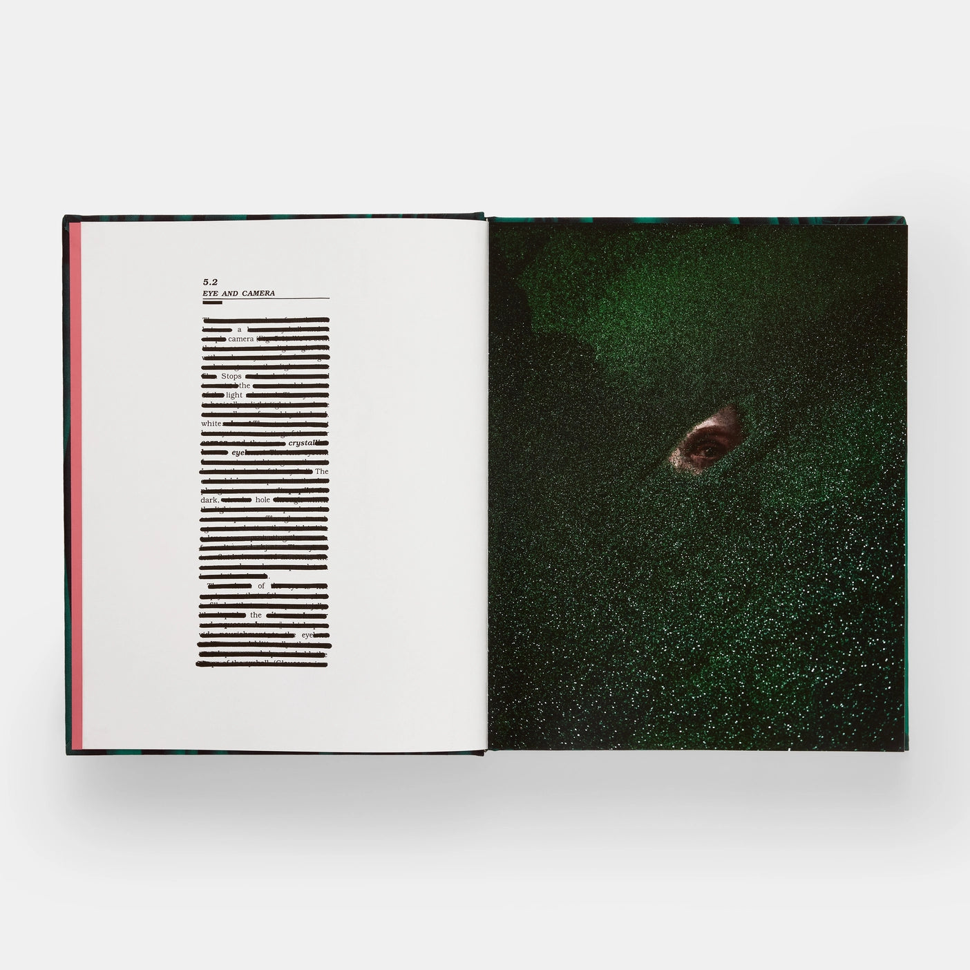 Emerald Drifters: Cig Harvey, with an afterword by Ocean Vuong