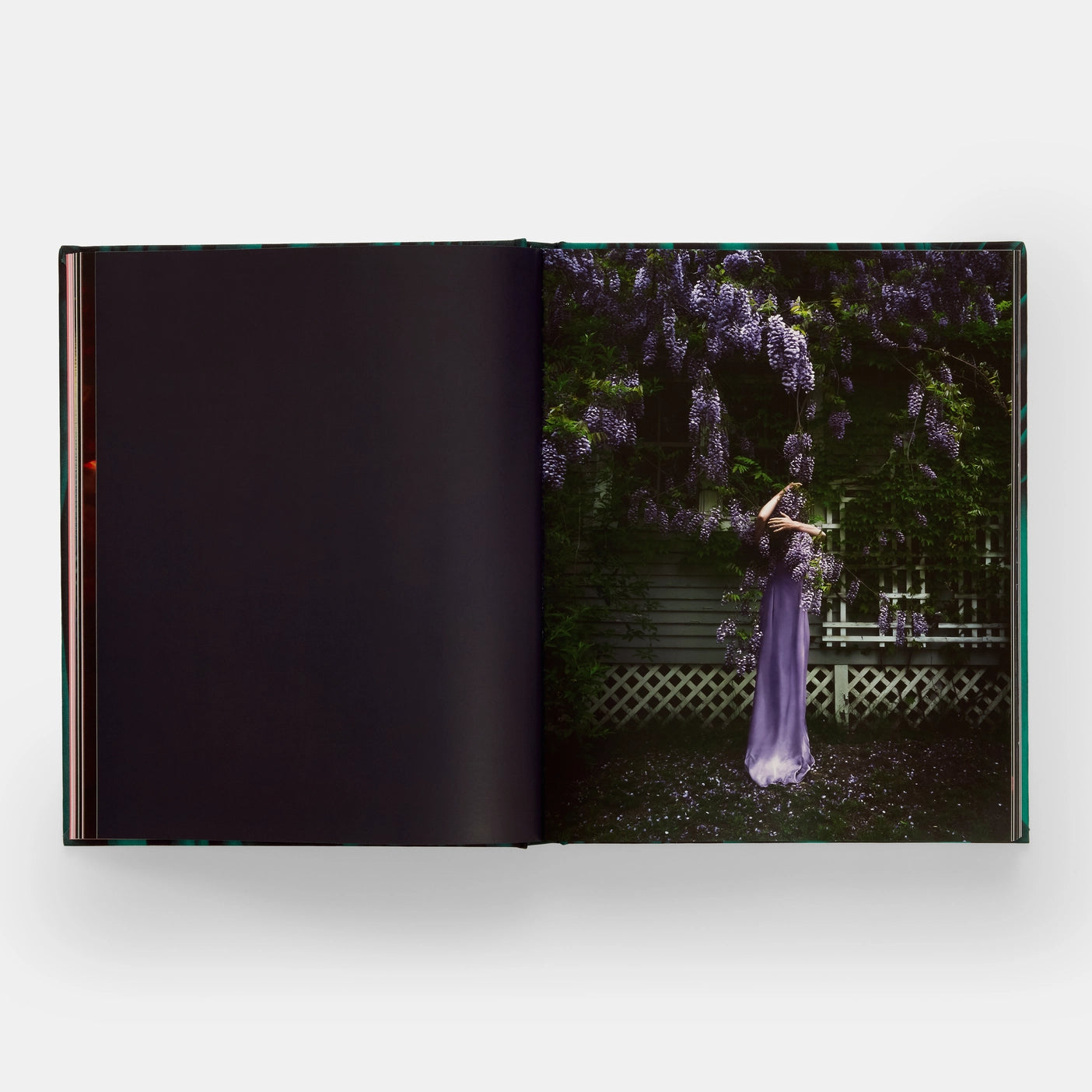 Emerald Drifters: Cig Harvey, with an afterword by Ocean Vuong