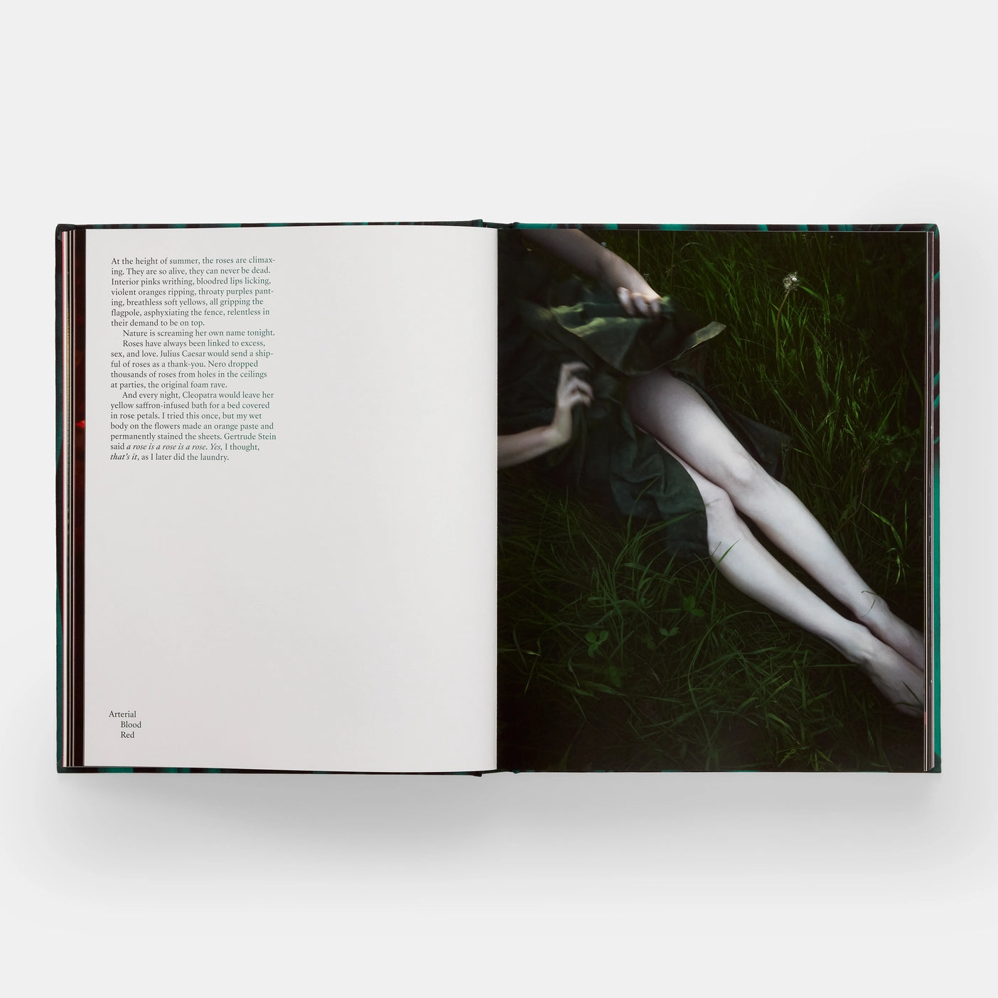 Emerald Drifters: Cig Harvey, with an afterword by Ocean Vuong