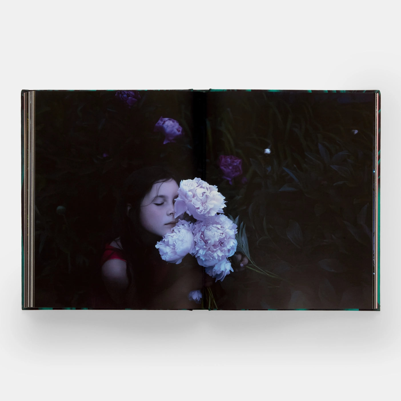 Emerald Drifters: Cig Harvey, with an afterword by Ocean Vuong