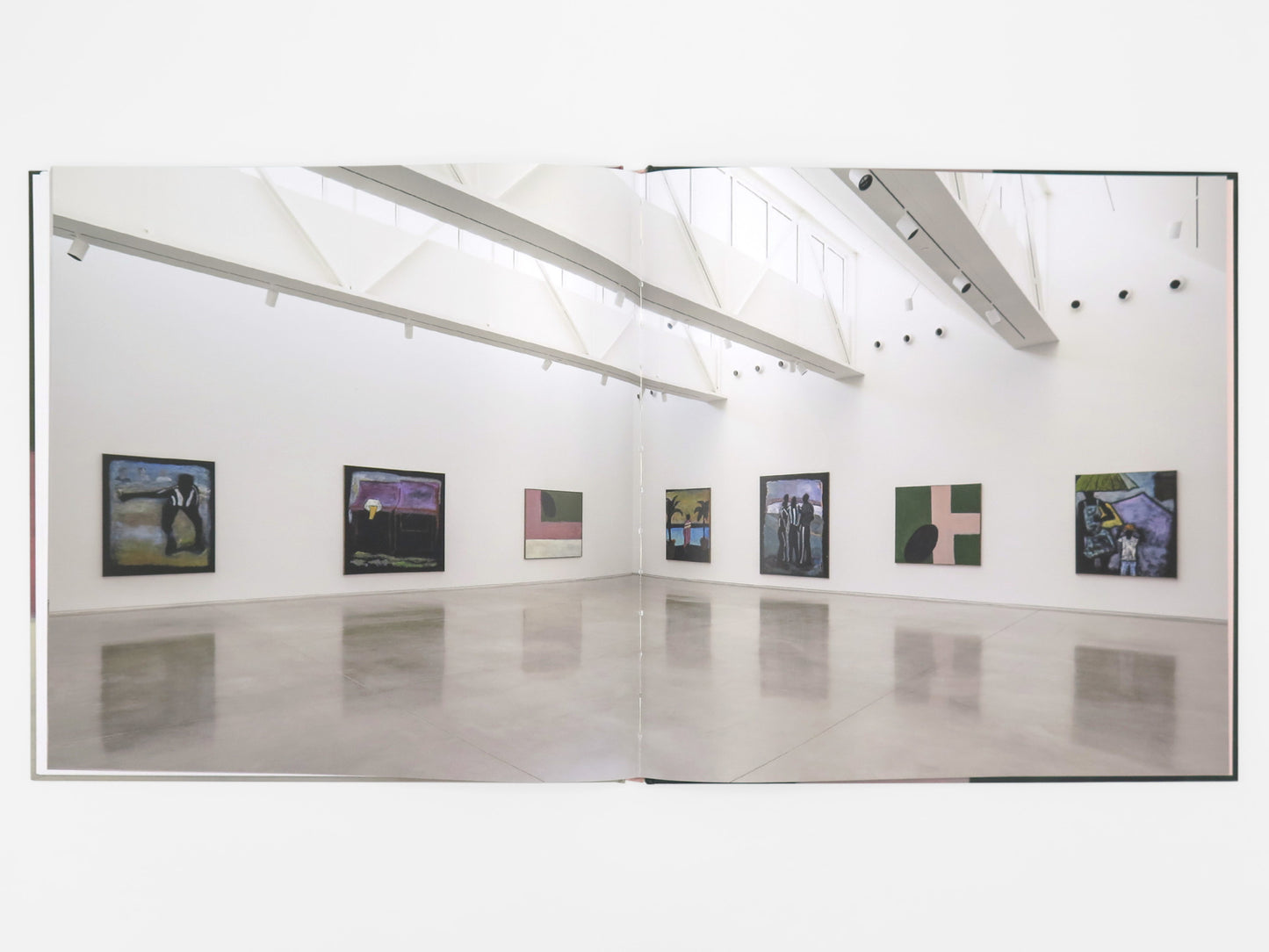 Book - Reggie Burrows Hodges - CMCA Hawkeye Catalogue