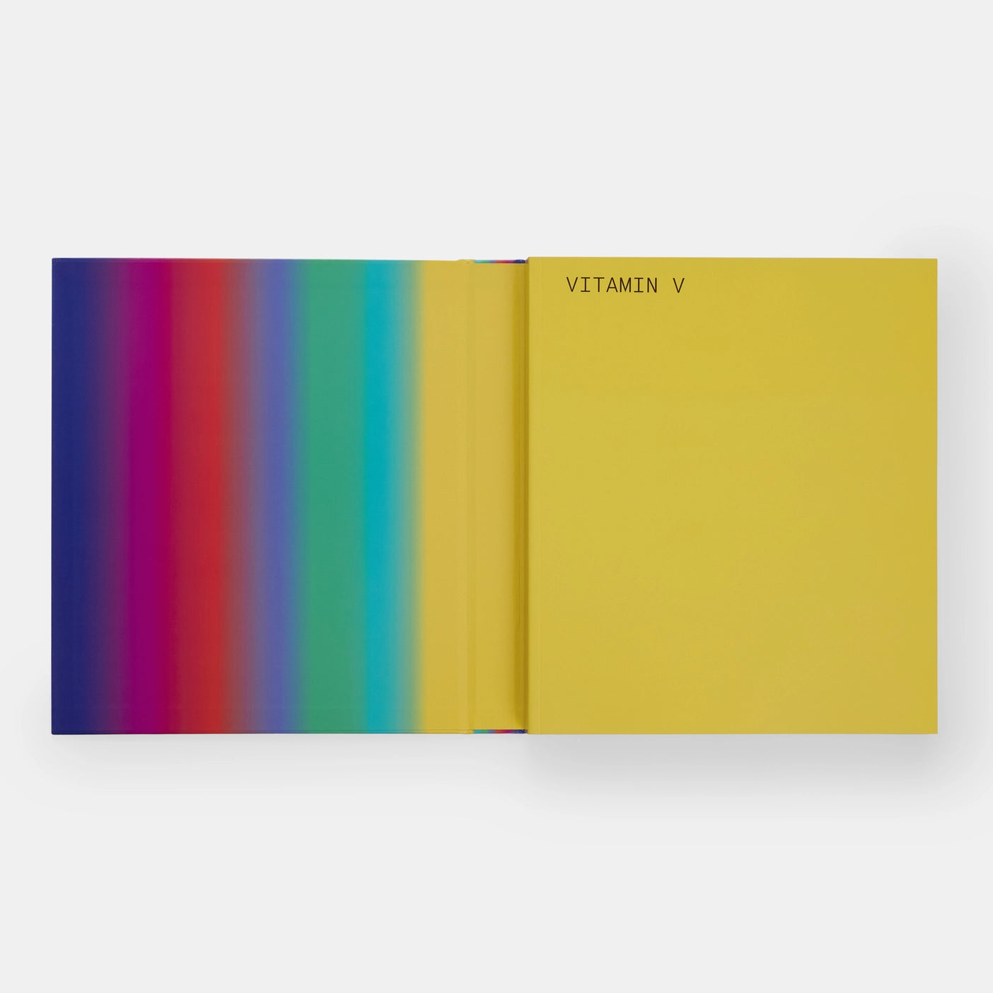 Vitamin V: Video and the Moving Image in Contemporary Art