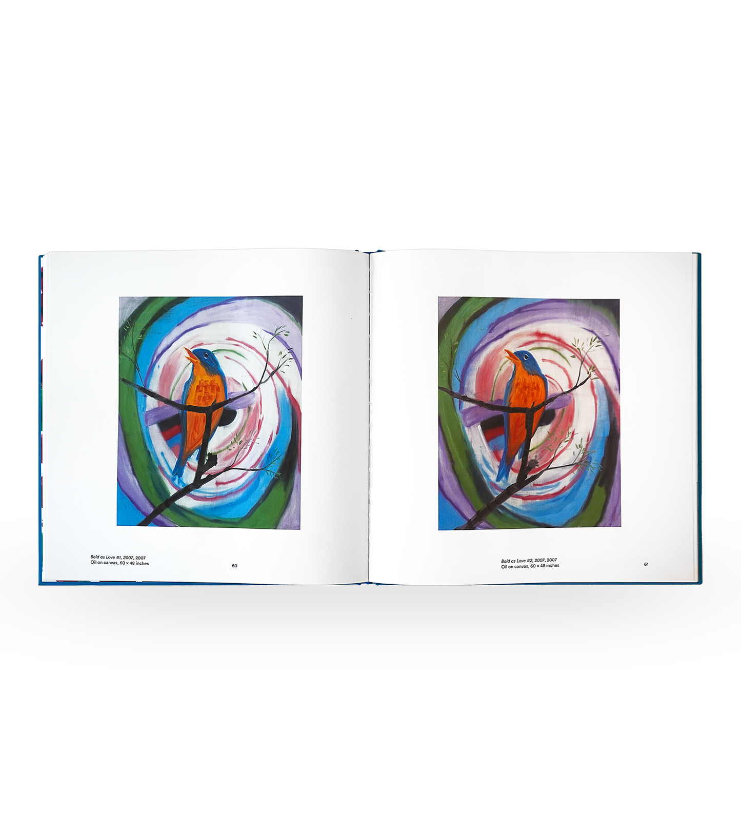 Ann Craven: Birds We Know