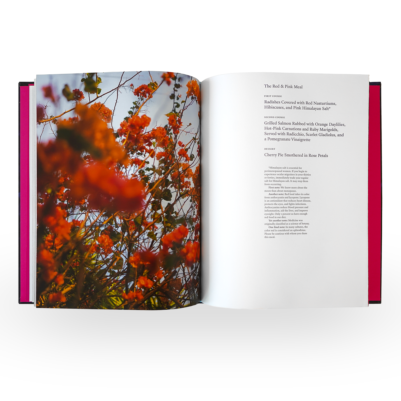 Blue Violet - Cig Harvey