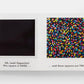 Up, Down & Other Opposites: with Ellsworth Kelly
