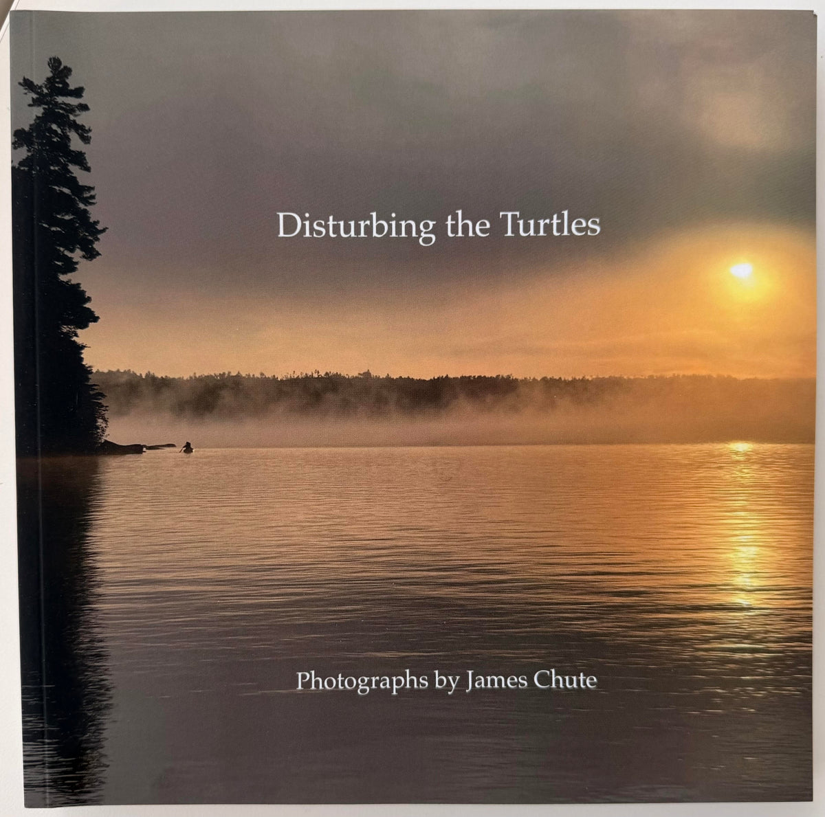 Disturbing the Turtles