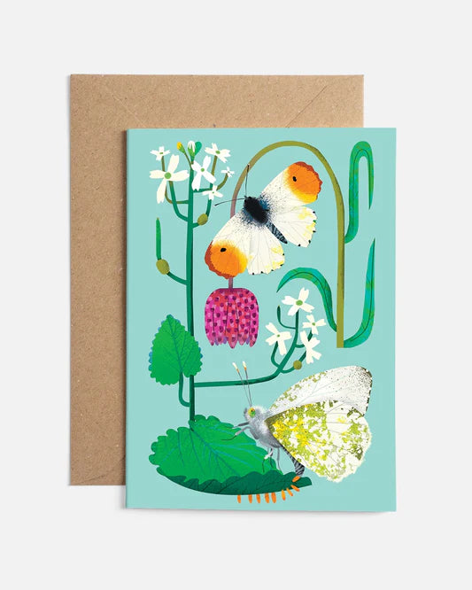 Orange-tip Butterflies | Card
