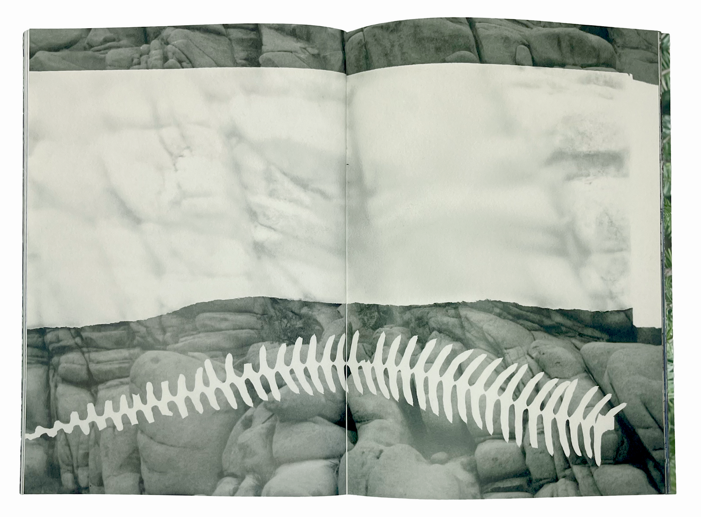 Letha Wilson - Smoke Follows Beauty (Fall 2024 Exhibition Catalog)