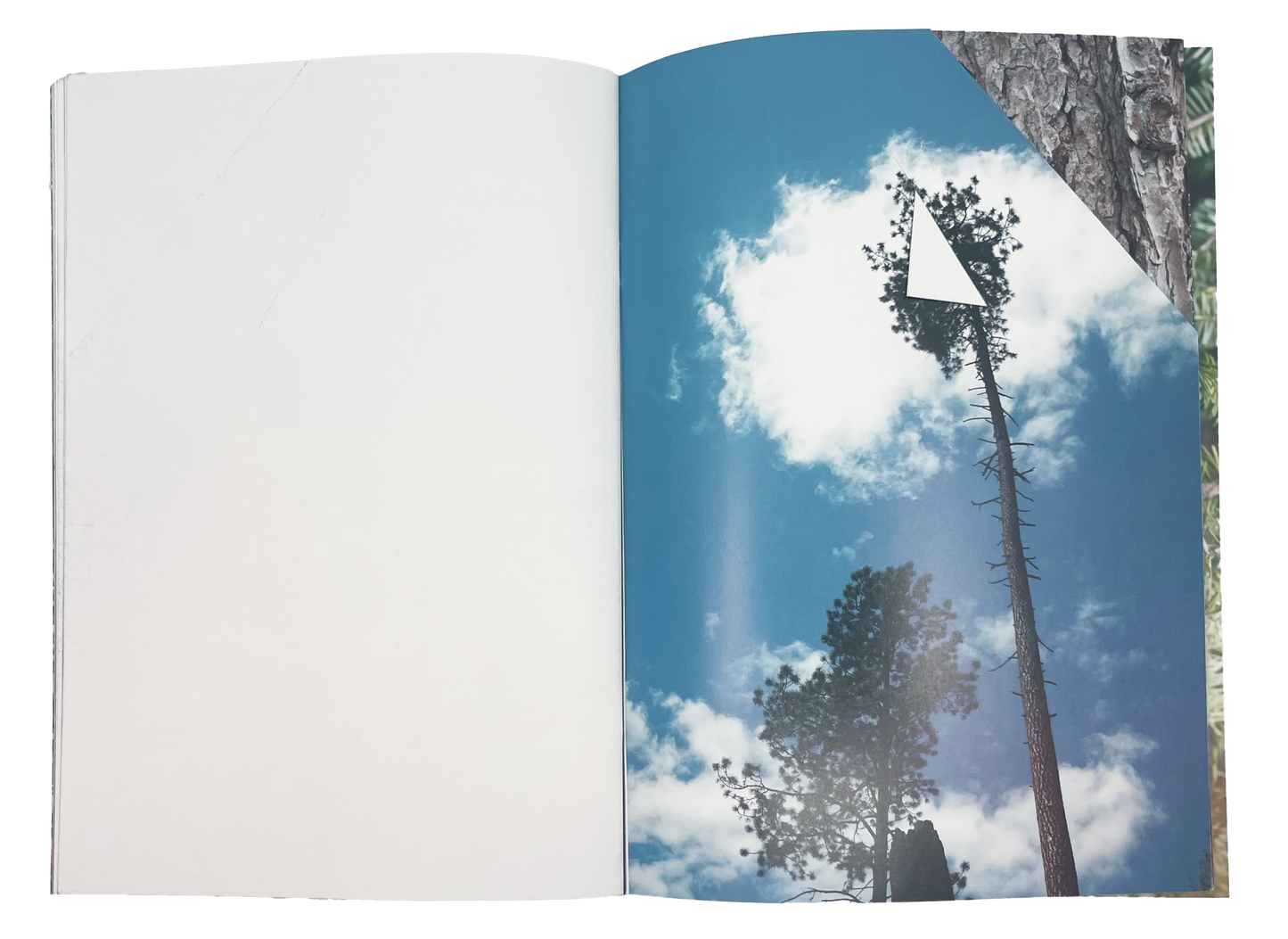 Letha Wilson - Smoke Follows Beauty (Fall 2024 Exhibition Catalog)