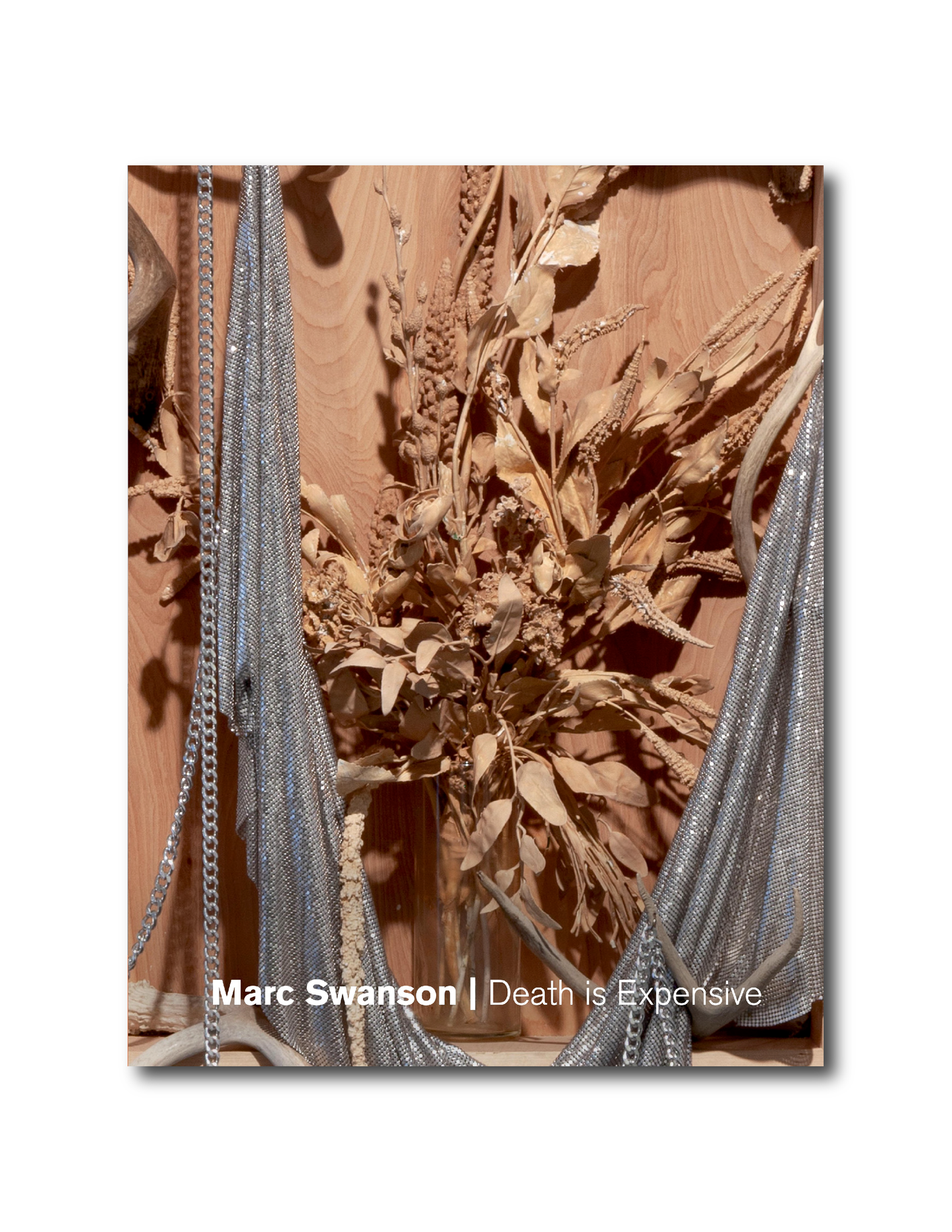 Marc Swanson |  Death is Expensive