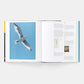 Alex Katz -  Robert Storr, Carter Ratcliff, Iwona Blazwick, Barry Schwabsky