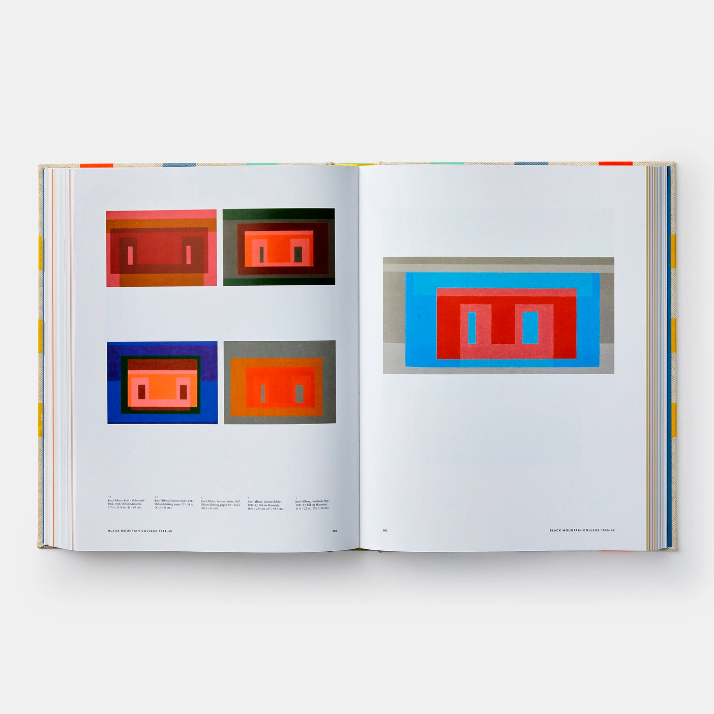 Anni & Josef Albers: Equal and Unequal by Nicholas Fox Weber