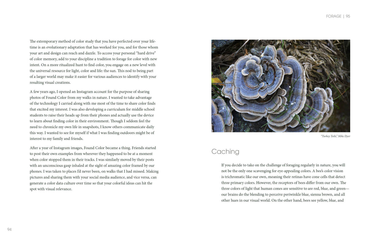 Nature of Color