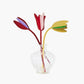 Bouquet, Tulip Love