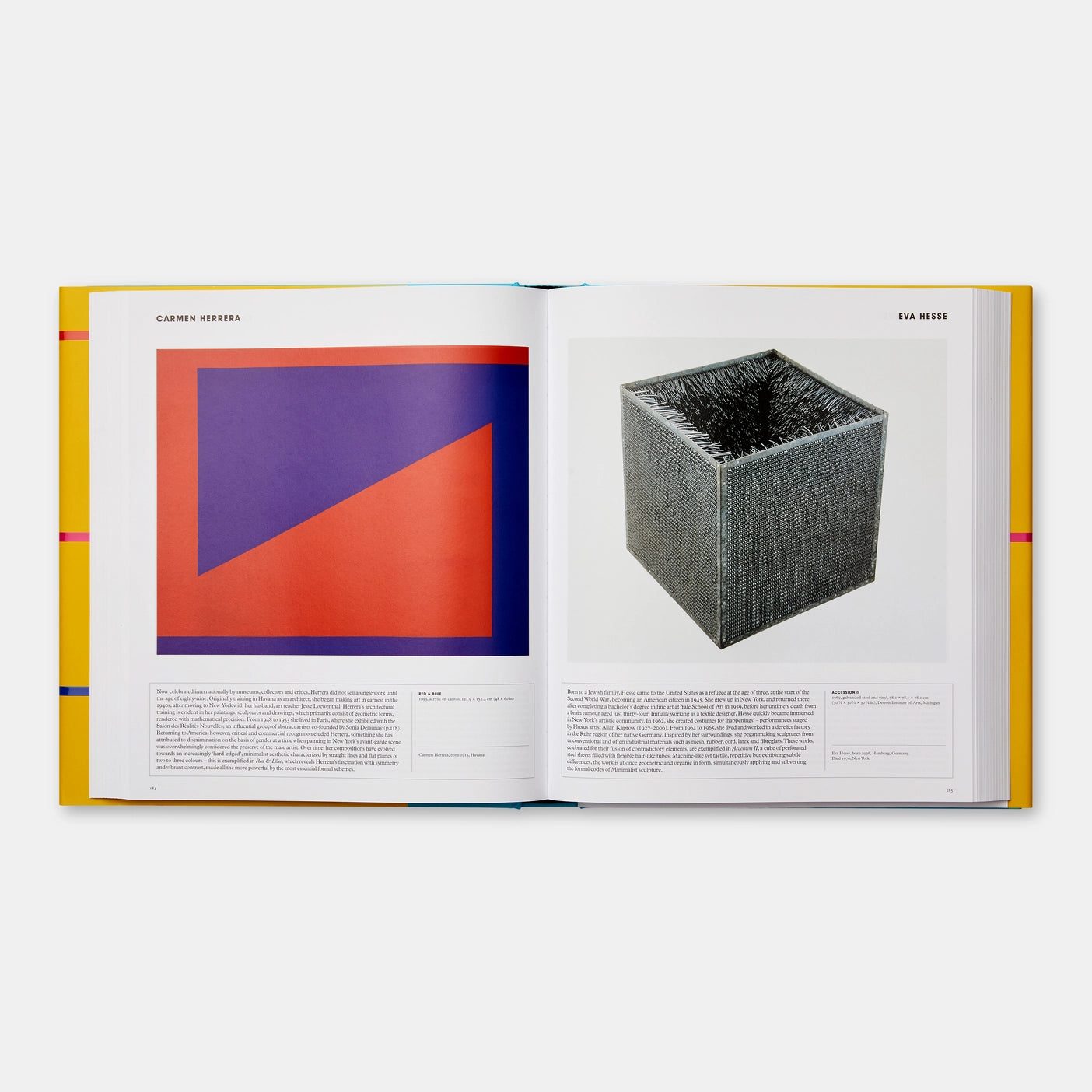 Great Women Sculptors |Introduction by Lisa Le Feuvre (Copy)
