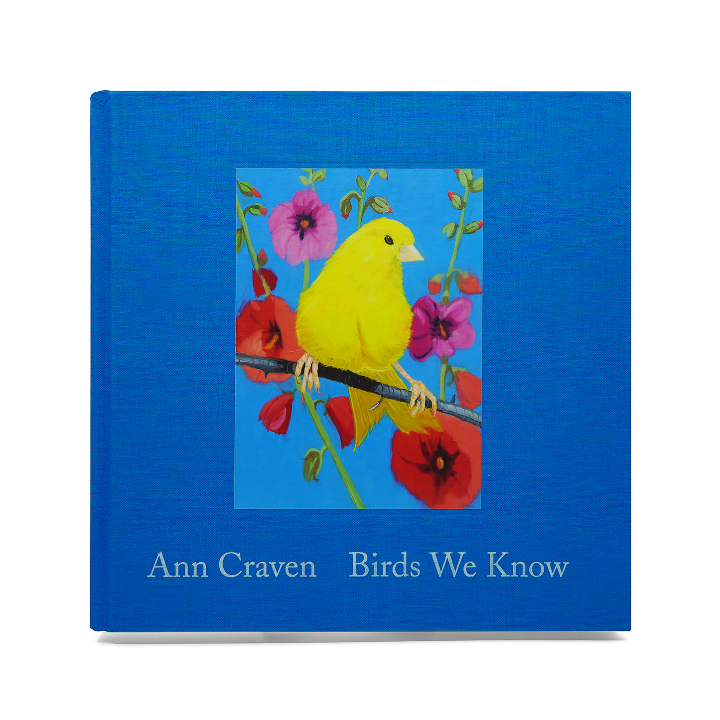 Ann Craven: Birds We Know
